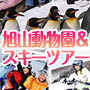 北海道スキー＆旭山動物園プラン