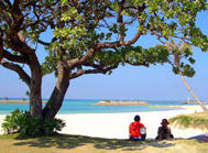 シェラトン沖縄サンマリーナリゾート全景